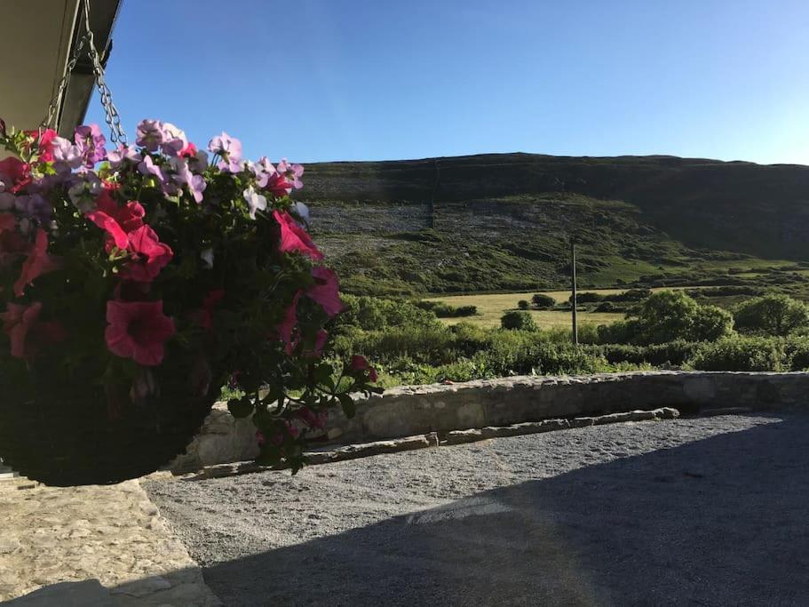 Fermoyle Properties Carleys Cottage Fanore المظهر الخارجي الصورة